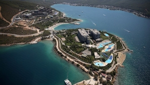 Bakanlık'tan, Bakan'ın orman talanına onay