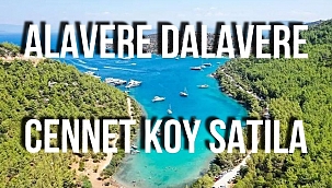 Cumhuriyet gazetesi yazarı Barış Terkoğlu milletin Cennet Koyu'nun Mehmet Cengiz'in Koyu'na nasıl dönüştüğünü yazdı